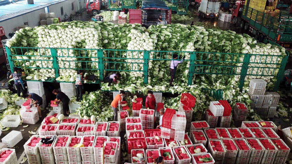 这些城市至少要储备5到7天消费量的蔬菜