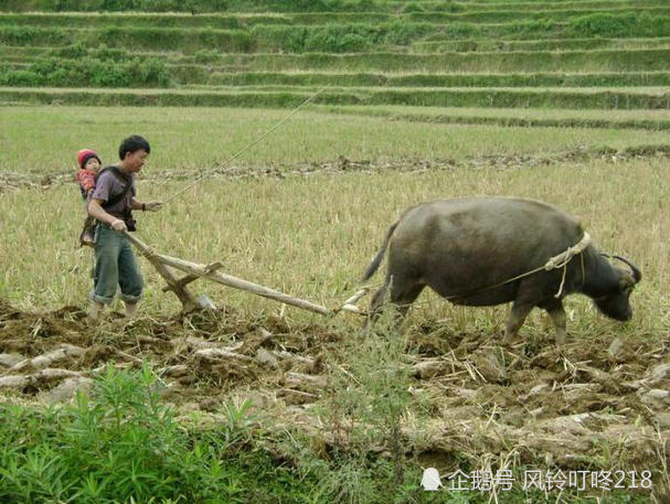 风铃出联 扶犁耕岁月 请对下联?