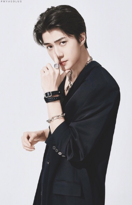 exo的年龄排行_娱乐全球组合类明星人气榜排行,EXO排第六,时代少年团排名第二,