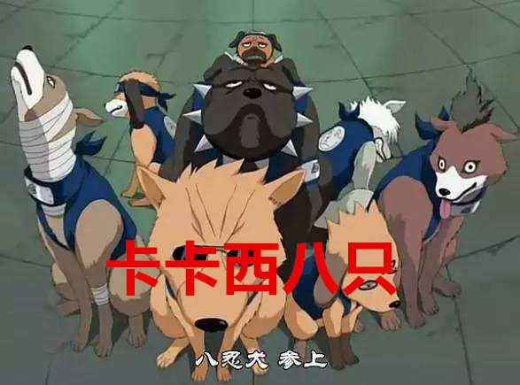 卡卡西我有八只通灵兽鸣人我几十只他想要几只来几只