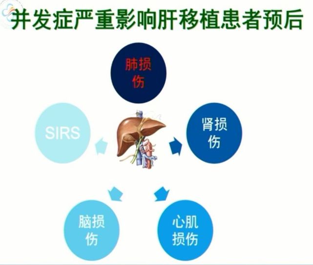 周少麗:肝移植術後肺部併發症的相關處理