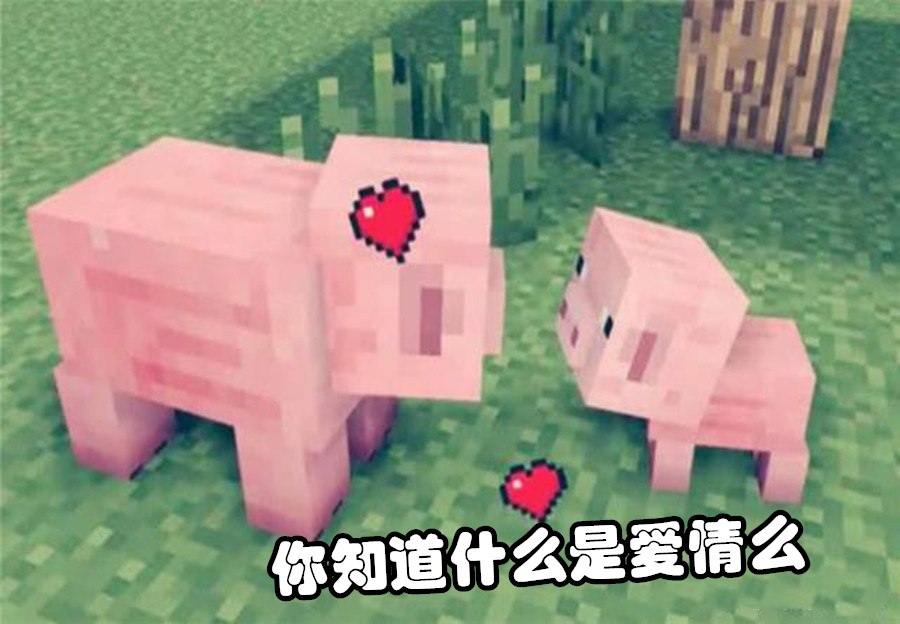 我的世界 10个绝佳角度 偷 拍到的mc画面 自然界鬼斧神工