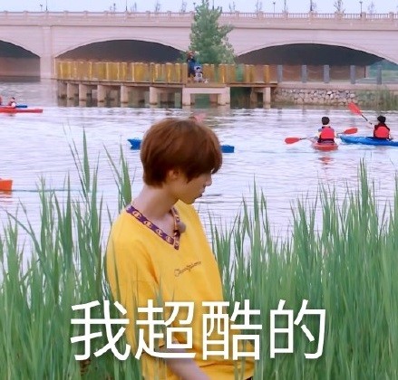 r1se搞笑表情包南南荡着秋千让你跟着他一起飞