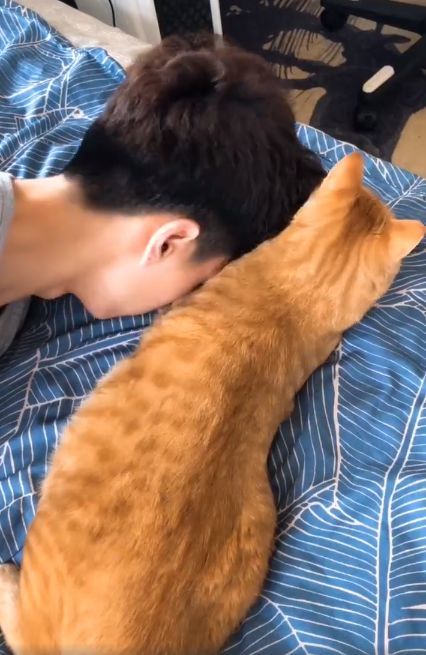 直男养猫后的样子 看完还敢让你们的男朋友养猫吗