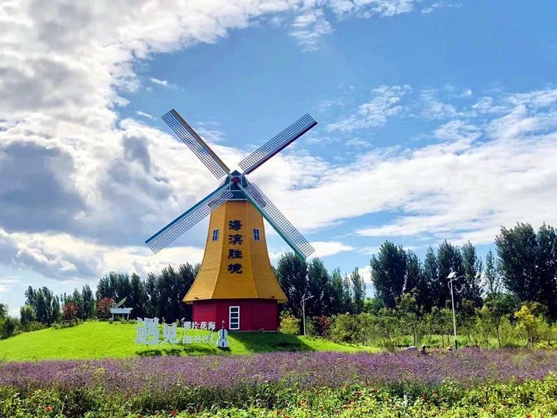 花园洋房,诗意生活的美好打开方式!