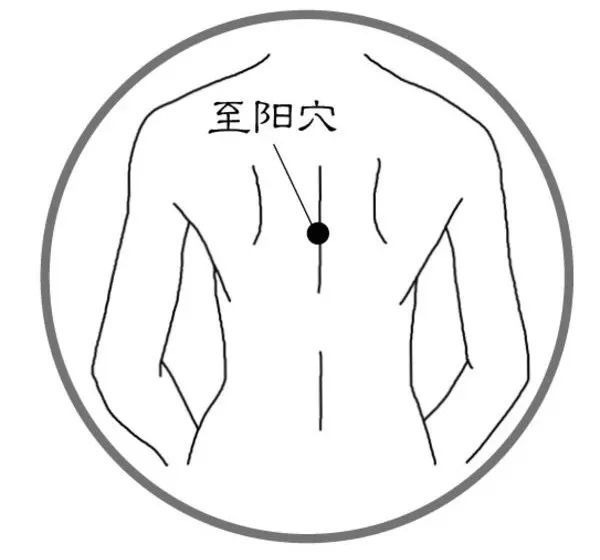 养生关键:阴阳各半,重在平衡_腾讯新闻