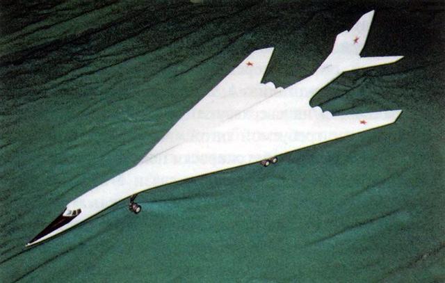 白天鹅的前世今生经历过斩首的屈辱亦曾站在世界巅峰