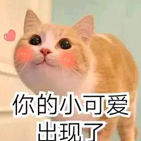 猫咪表情包 你的小可爱出现了