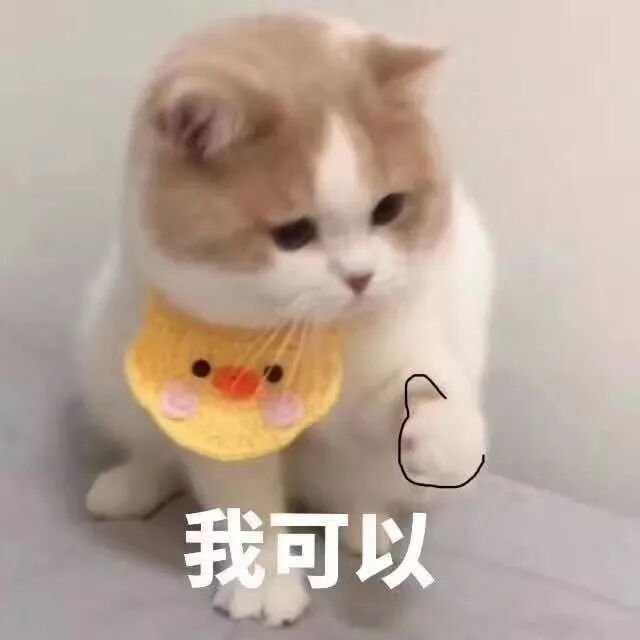 è¡¨æ ç«åªè¡¨æå,åæ¶ä¸ºæ¬äº è¡¨æ 