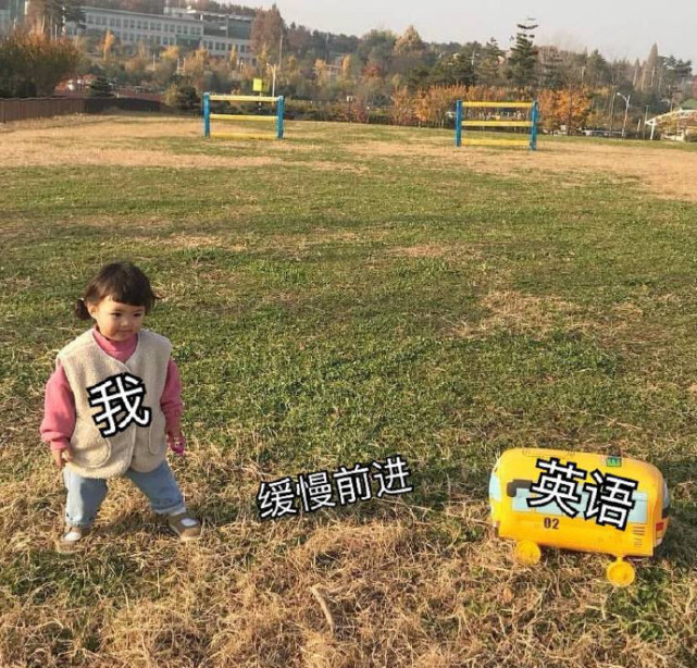 爆笑表情包我在梦里背文综
