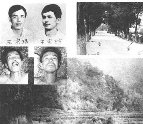 1983年东北二王事件真相