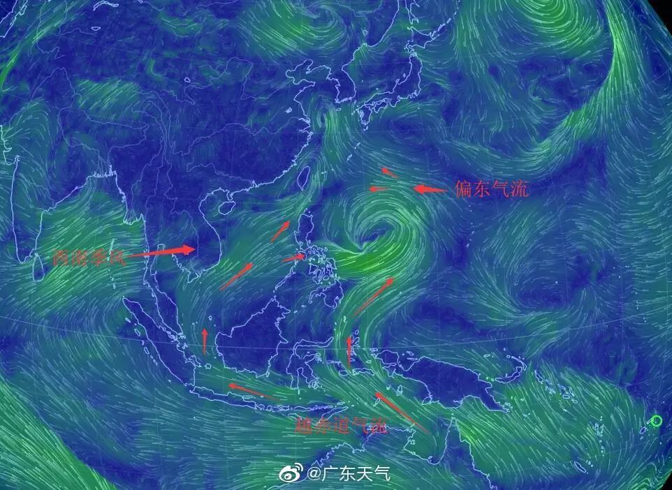 11号台风"白鹿"已生成!或将登陆广东?未来深圳这些地方将计划停电