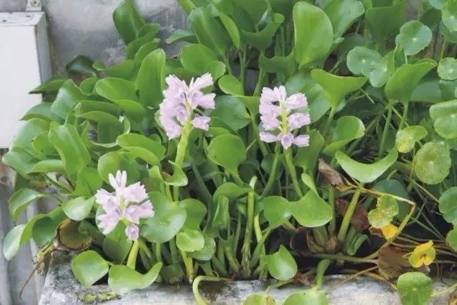 腾讯内容开放平台