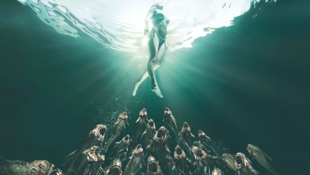 食人鱼真的会吃人吗?