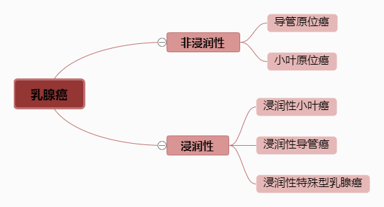 乳腺癌你真的了解吗