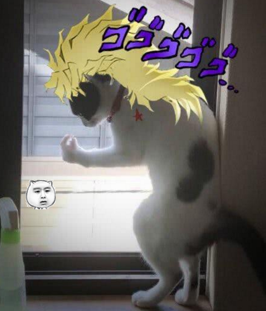 日本网友发文,自家猫咪动作有点眼熟,网友:jojo是你吗?