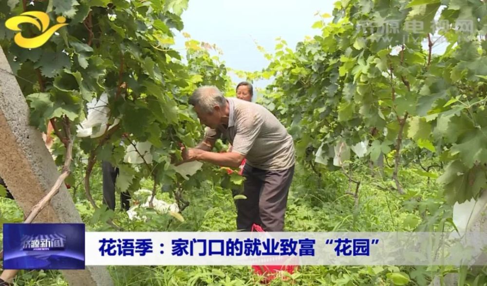 济源花语季 家门口的就业致富 花园