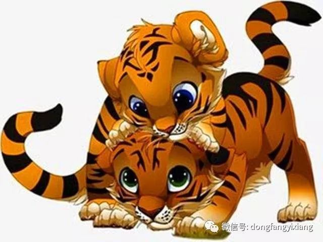 11月19日周二农历十月廿三 哪些属相要多需谨慎 腾讯新闻