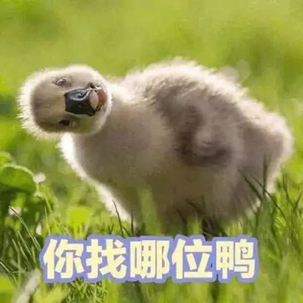 放开我表情包-千图网