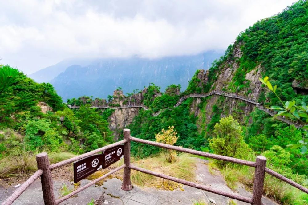 邂逅臨安早秋,在大明山遇到了童年的藍胖子