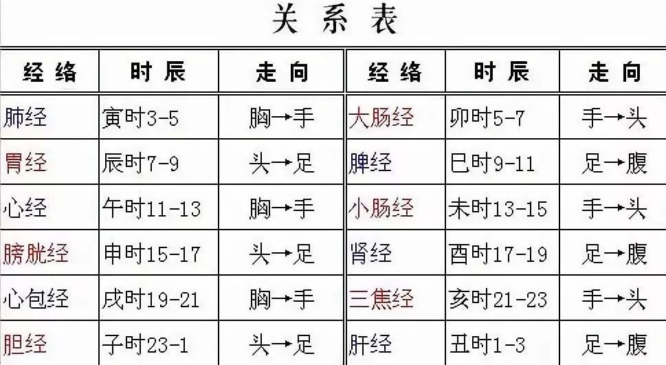 12经络时间图图片