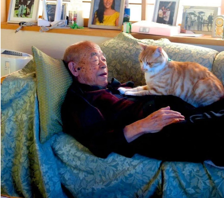 非同寻常的友谊桥梁,谁会想到胆小的猫咪会去选择一位脾气暴躁的老人