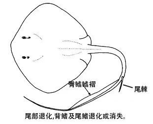 腾讯内容开放平台