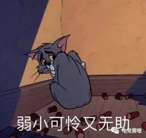 上海龙之队上海主场赛事日期敲定