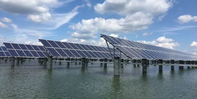 直击东港9000亩水上光伏发电现场!