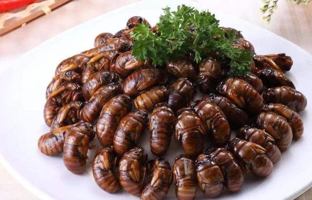 世界上75 的昆虫都被人类吃了 云南人吃的只是冰山一角