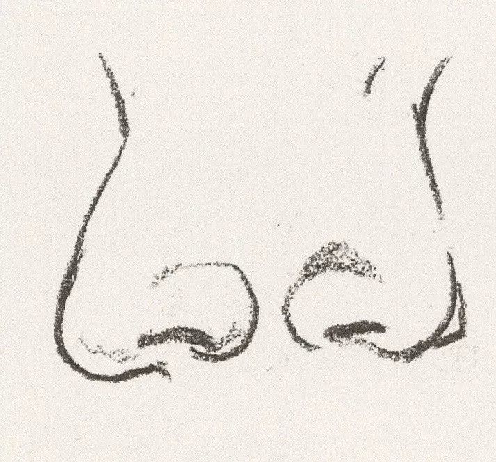速写教学丨速写五官局部之鼻子的画法