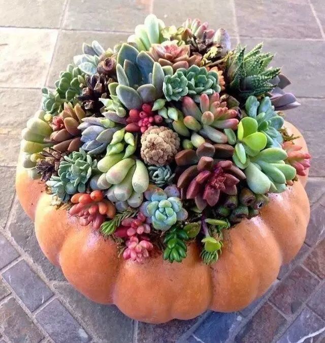 腾讯内容开放平台