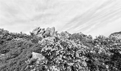 雄奇的北方万山之宗