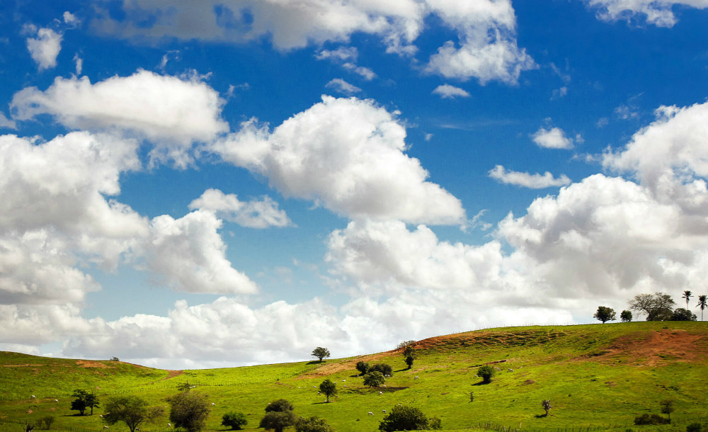 晏几道的诗有哪些 晏几道的诗词全集84首 腾讯新闻
