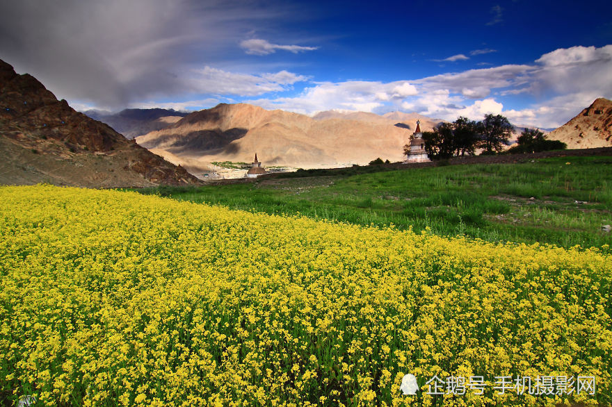 实拍印度自然美景原来印度除了人口多之外景色也是这么的美