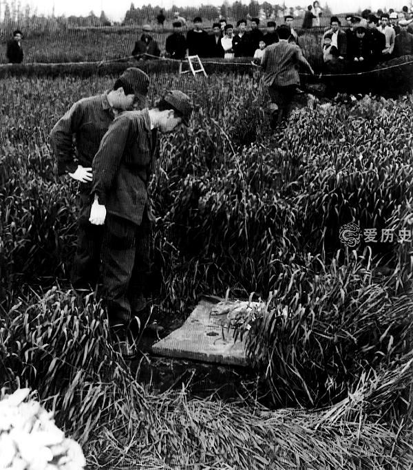 高一女生上学时失踪被害 凶手被判死刑后翻供 先后五人自杀