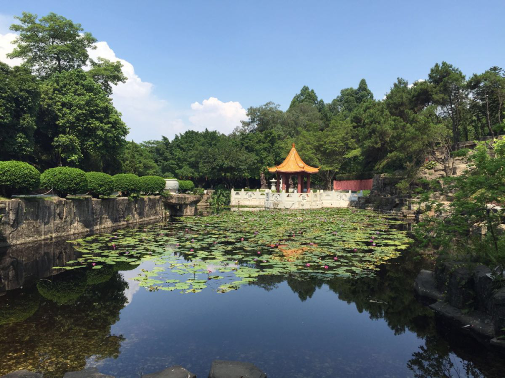 廣東佛山十大旅遊景區之三水森林公園