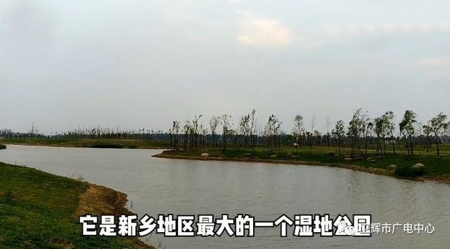 新乡将新建国内最大湿地公园这些片区要崛起了