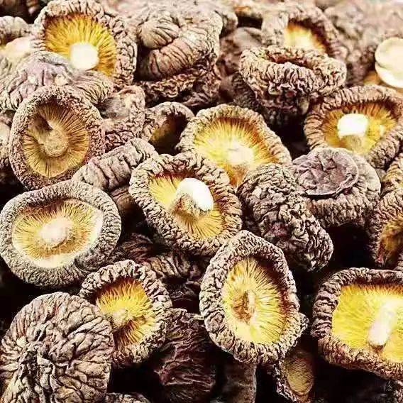 气阴不足或燥邪犯肺?来个美味香菇银竹老鸭汤