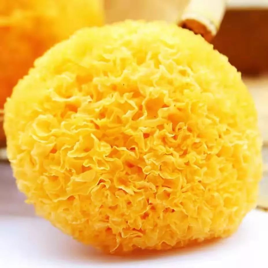 气阴不足或燥邪犯肺?来个美味香菇银竹老鸭汤