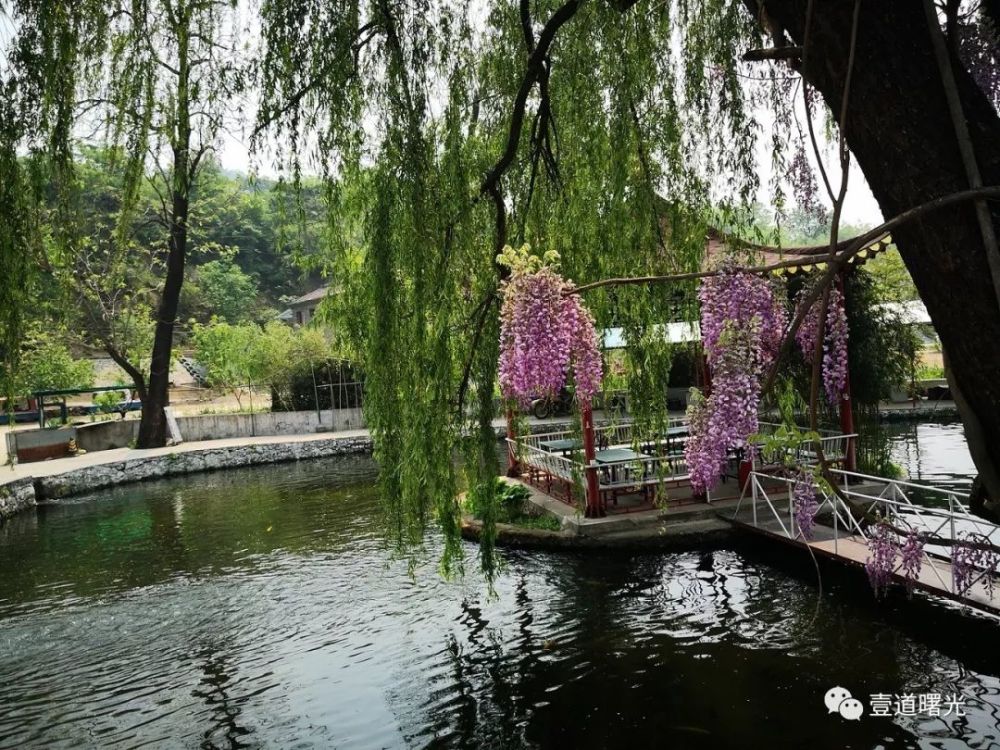 北京大学王曙光《知乐亭记》