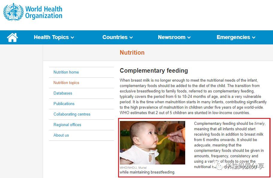 坑娃 这些关于辅食的常识都是错的