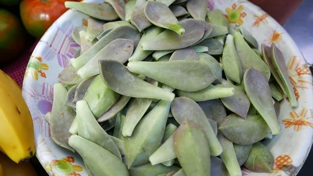 想不到多肉植物也可以吃 多肉叶片和水果一起榨成汁 还挺好喝