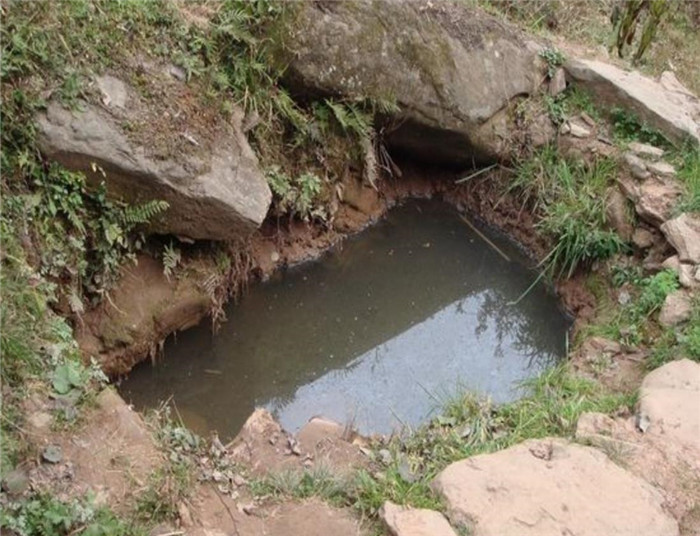 农村里,一场大雨过后,很多水坑里都会出现"小鱼",为什么呢?