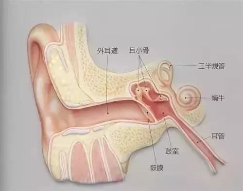 嫌外放太吵 但是让孩子戴耳机听音乐真的好么