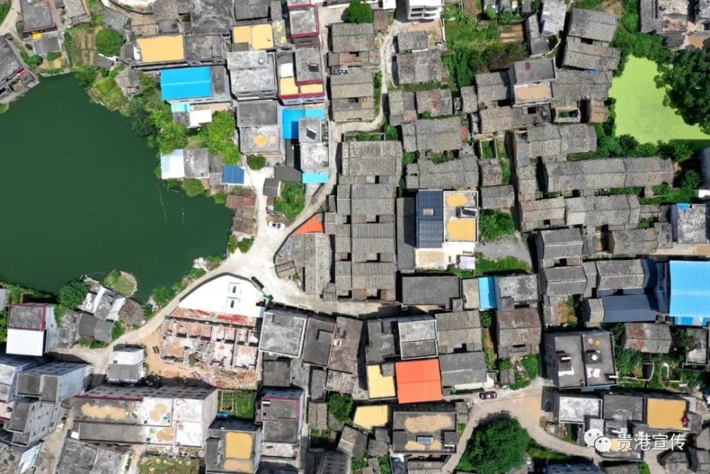 贵港这两个村入选第三批中国少数民族特色村寨 是你家乡吗 腾讯新闻