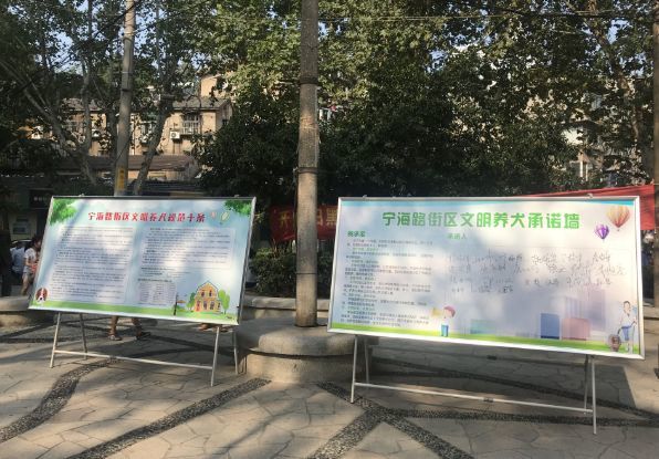 南京养狗市民注意 这行为将纳入个人征信 别怪我发晚了