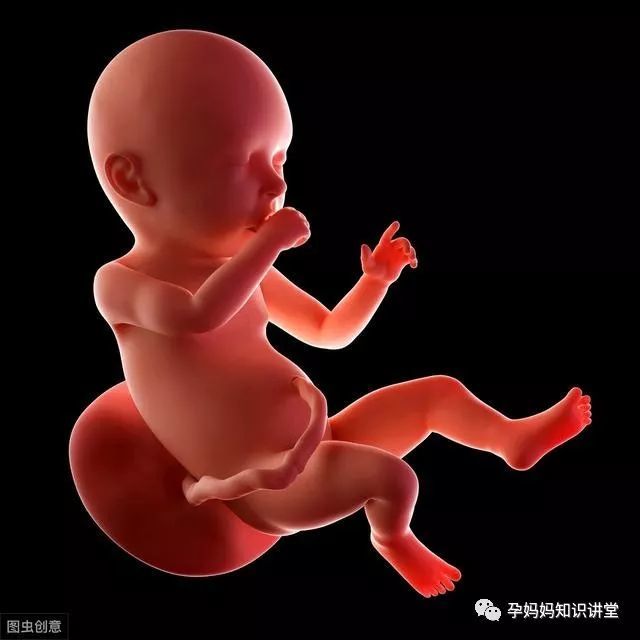 孕晚期这几种睡姿要禁止可能导致胎儿发育迟缓