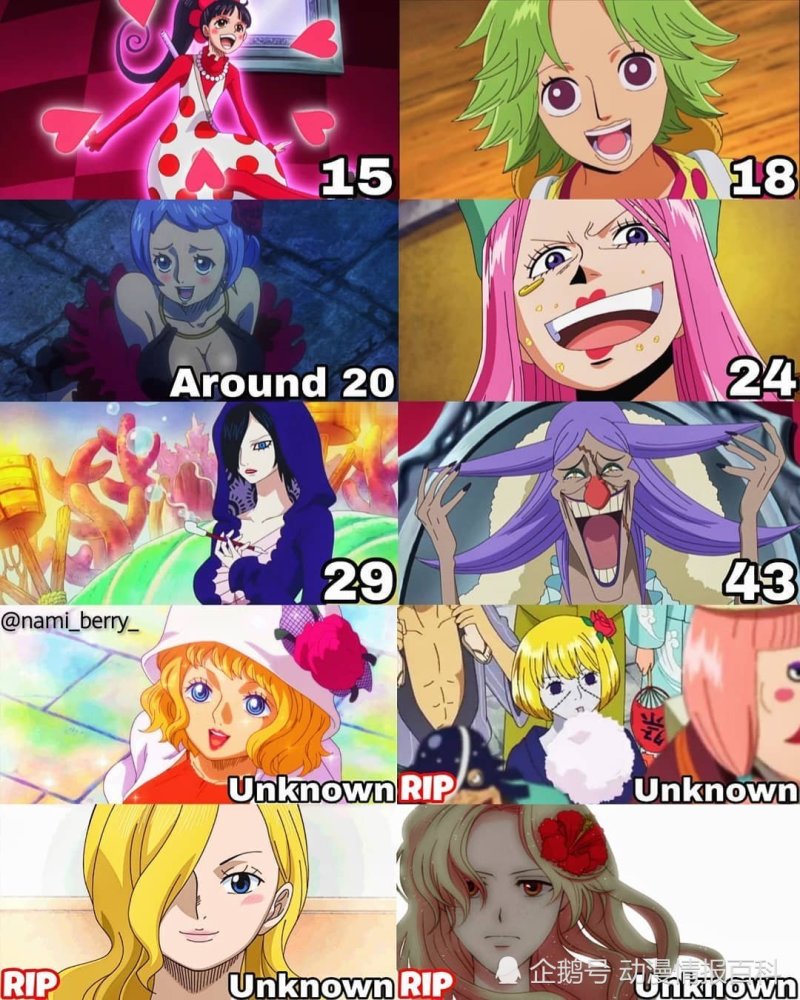 海贼王中女性角色的真实年龄 快来看看你的女神的真实年龄吧