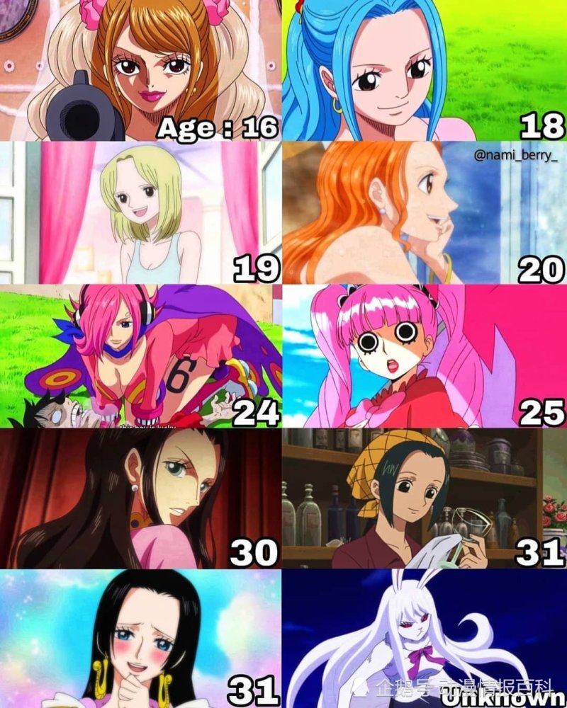 海贼王中女性角色的真实年龄 快来看看你的女神的真实年龄吧
